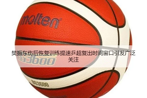 樊振东伤后恢复训练提速乒超复出时间窗口引发广泛关注